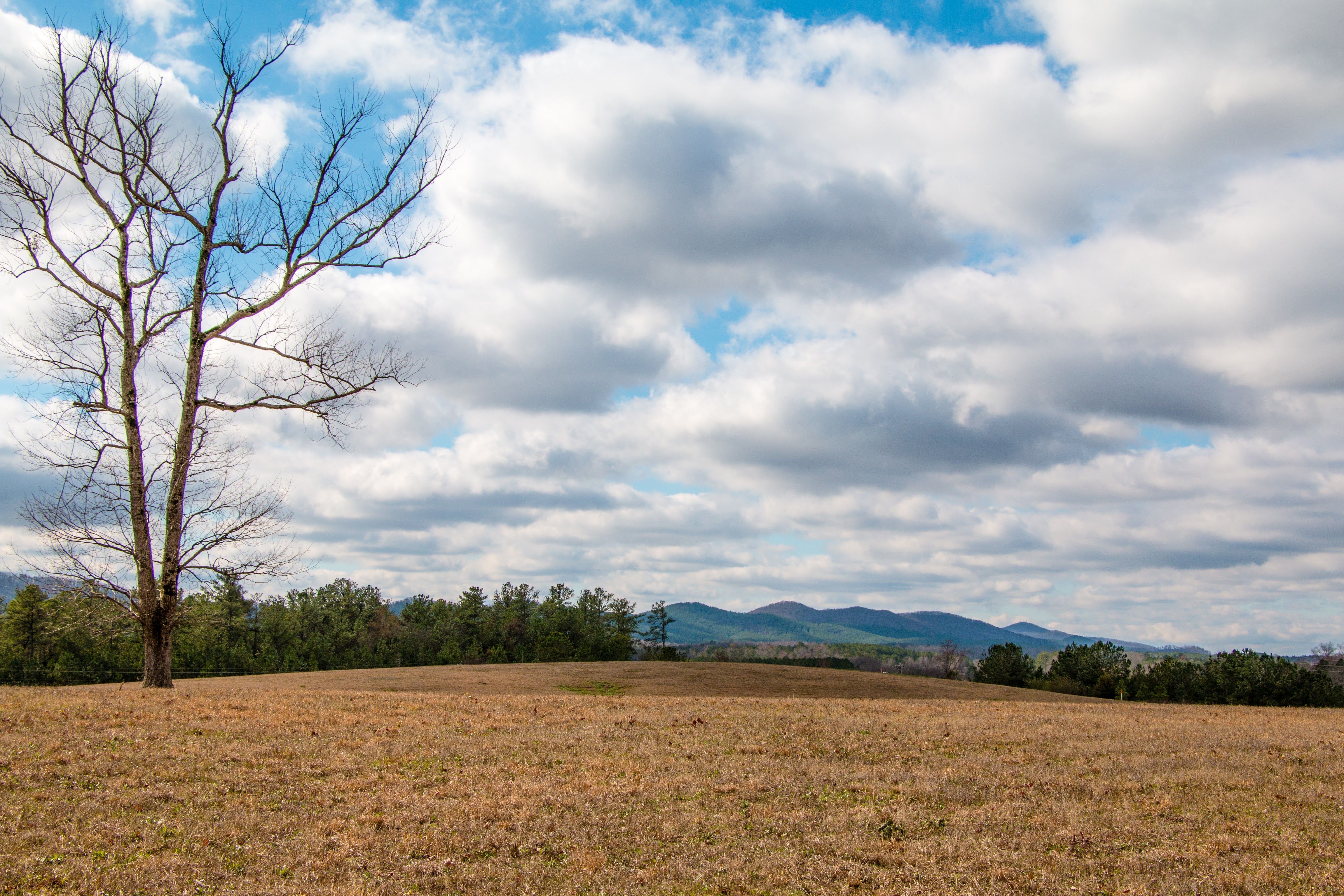 Talladega, Alabama Holiday Rentals, Apartments & Condos