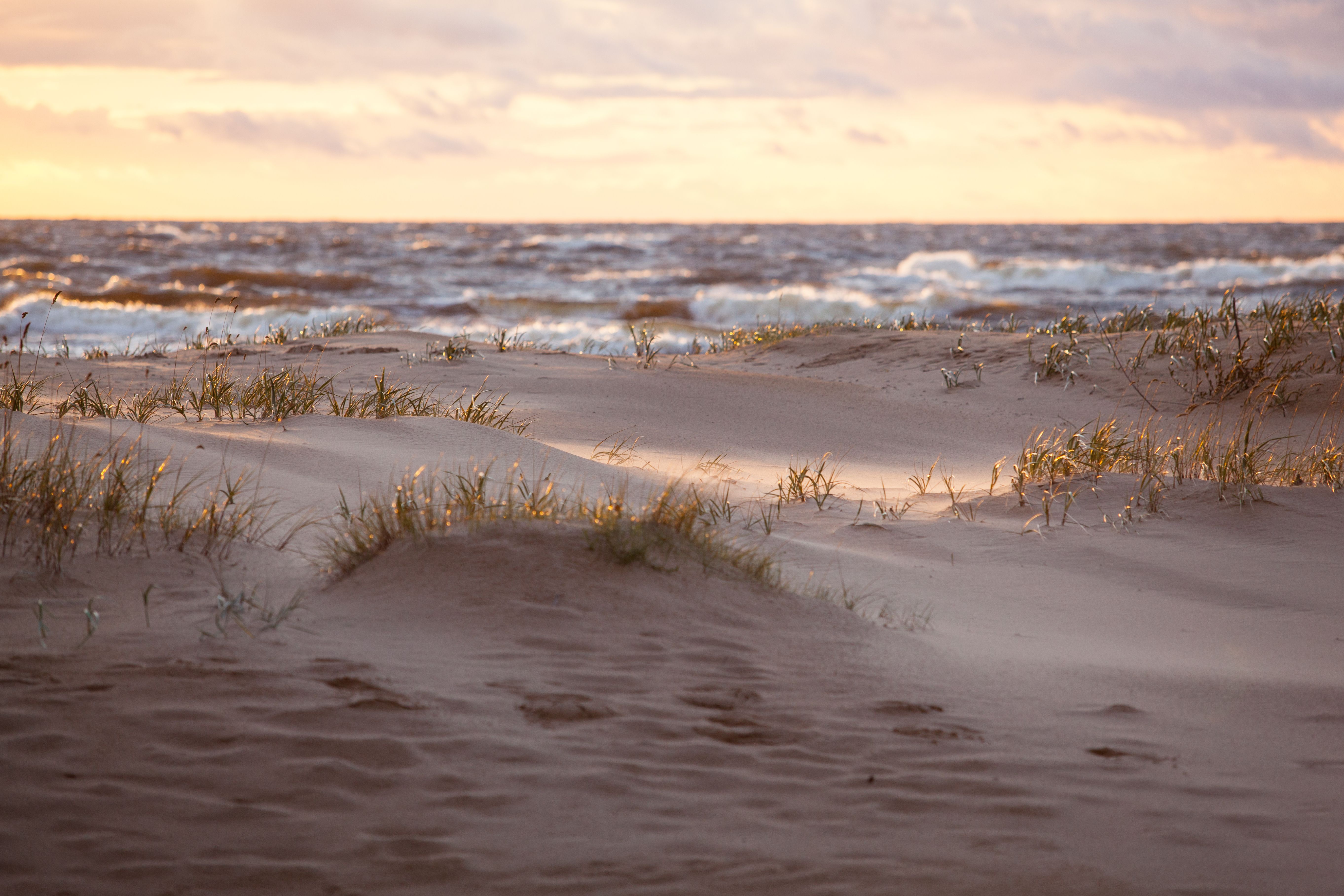 Jersey Shore Hotels 10,061 Cheap Jersey Shore Hotel Deals