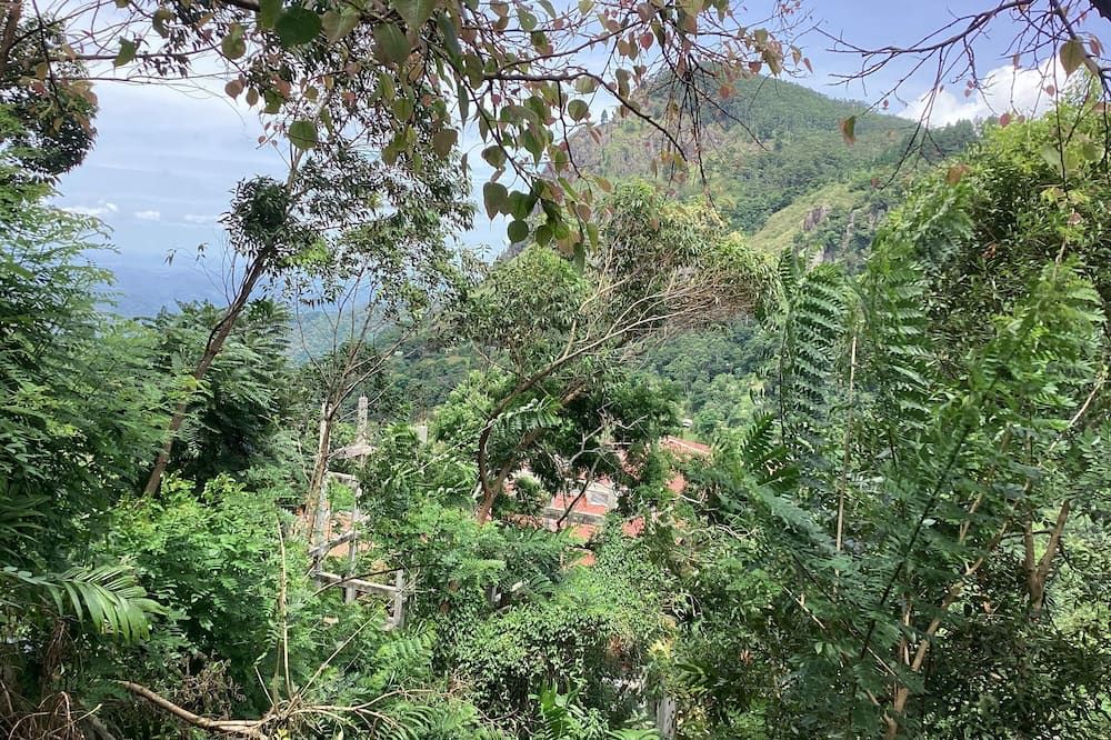 Outdoor view