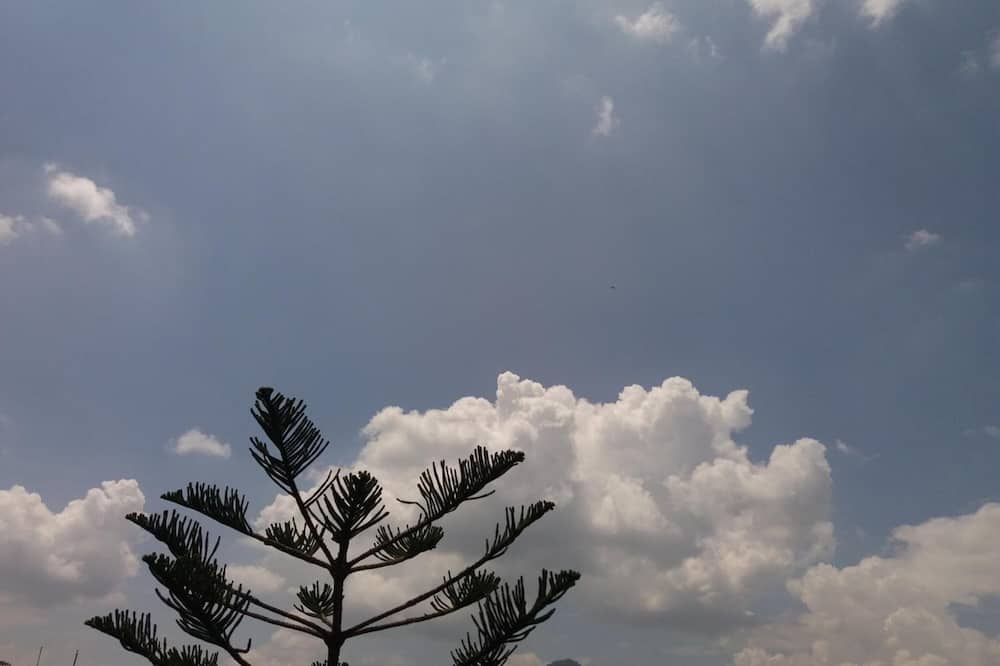 Outdoor view