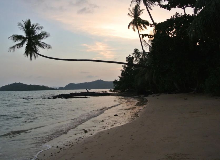 Beach Photo