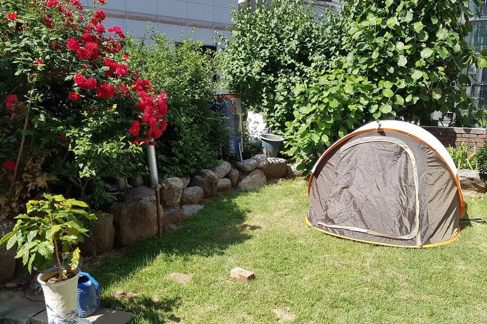 Outdoor view