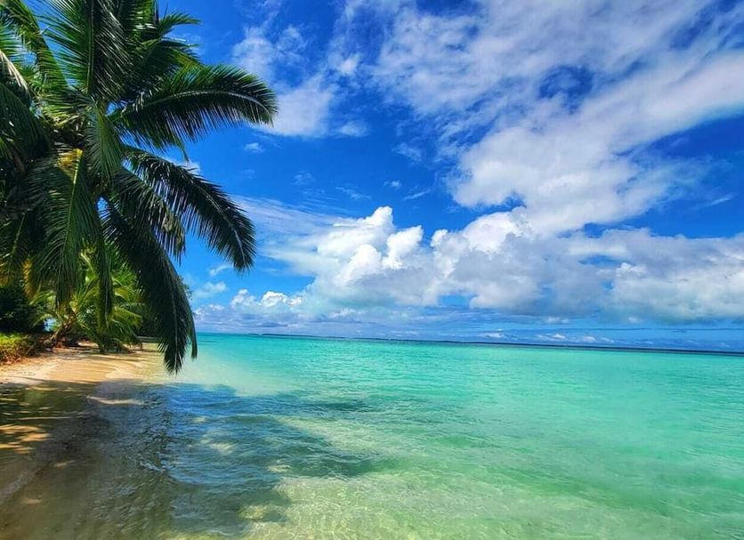 Beach Photo