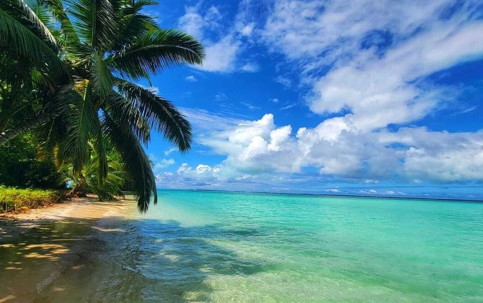 Beach Photo