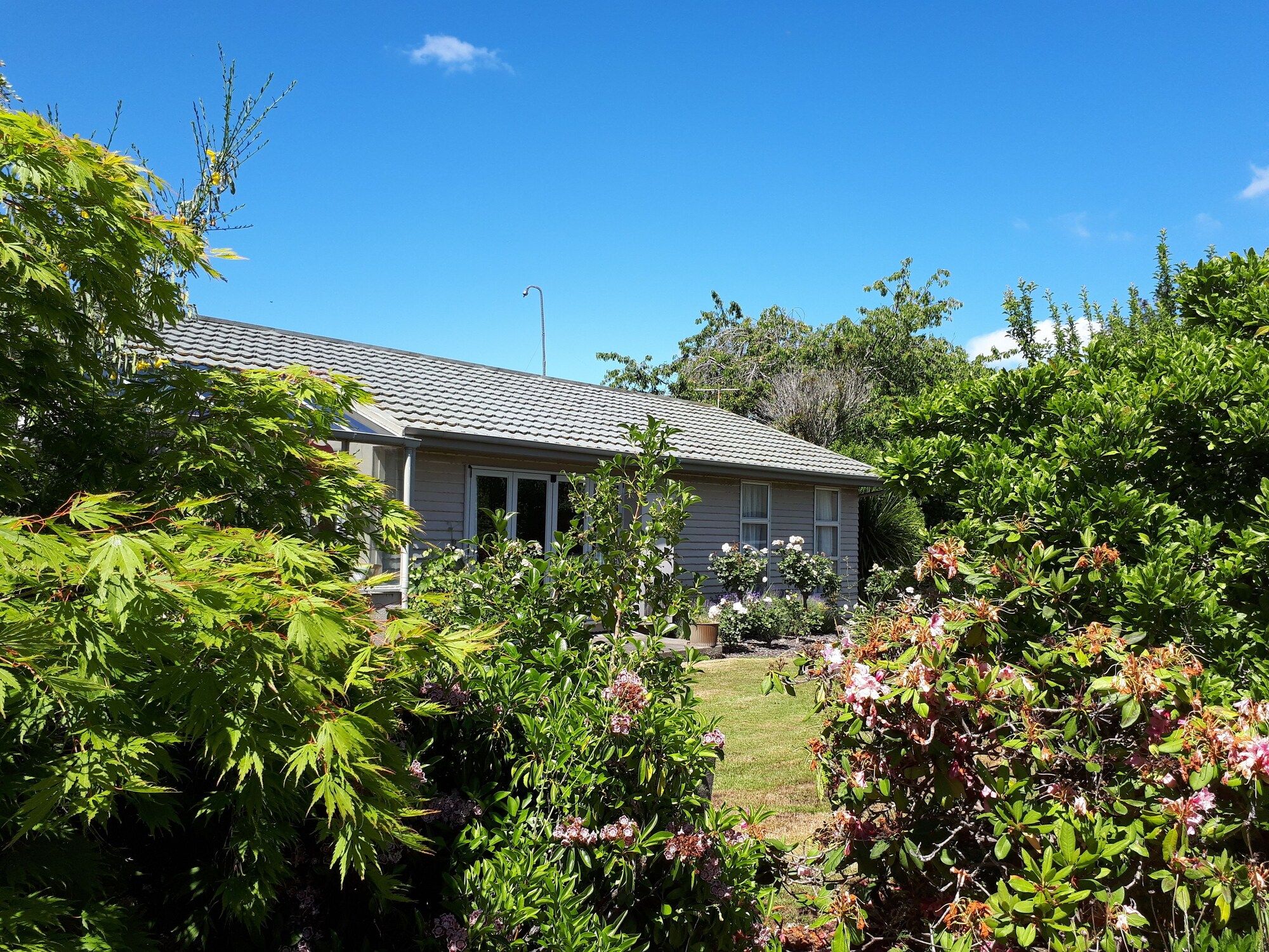 Outdoor view
