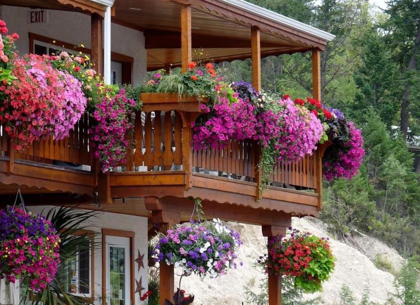 Outdoor view Photo