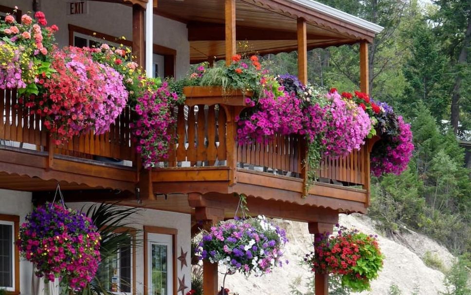Outdoor view Photo