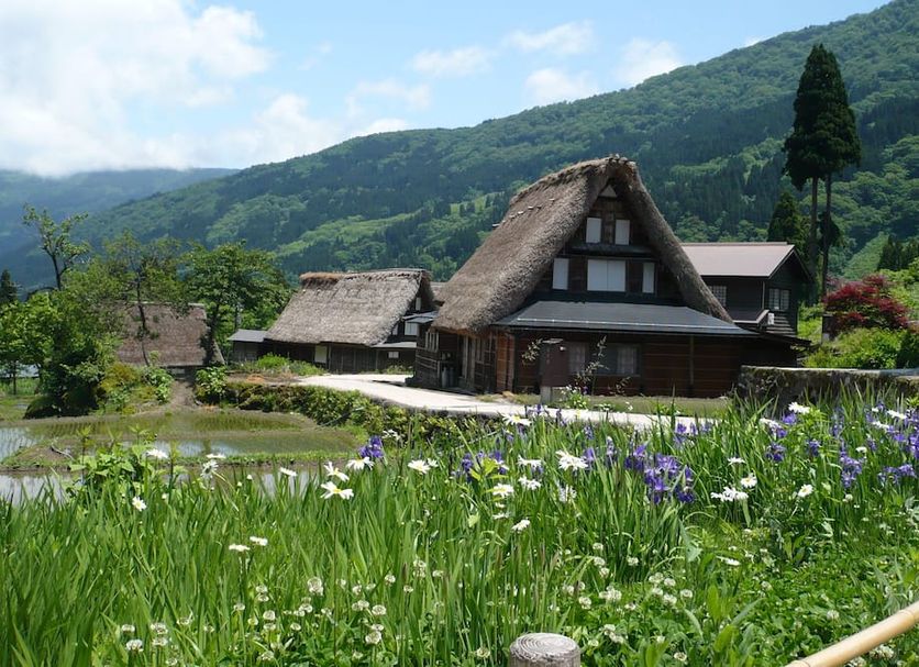 Outdoor view Photo