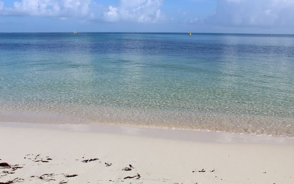Beach Photo