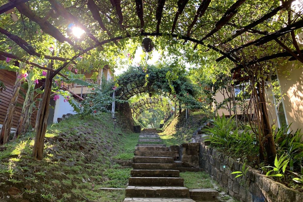 Outdoor view
