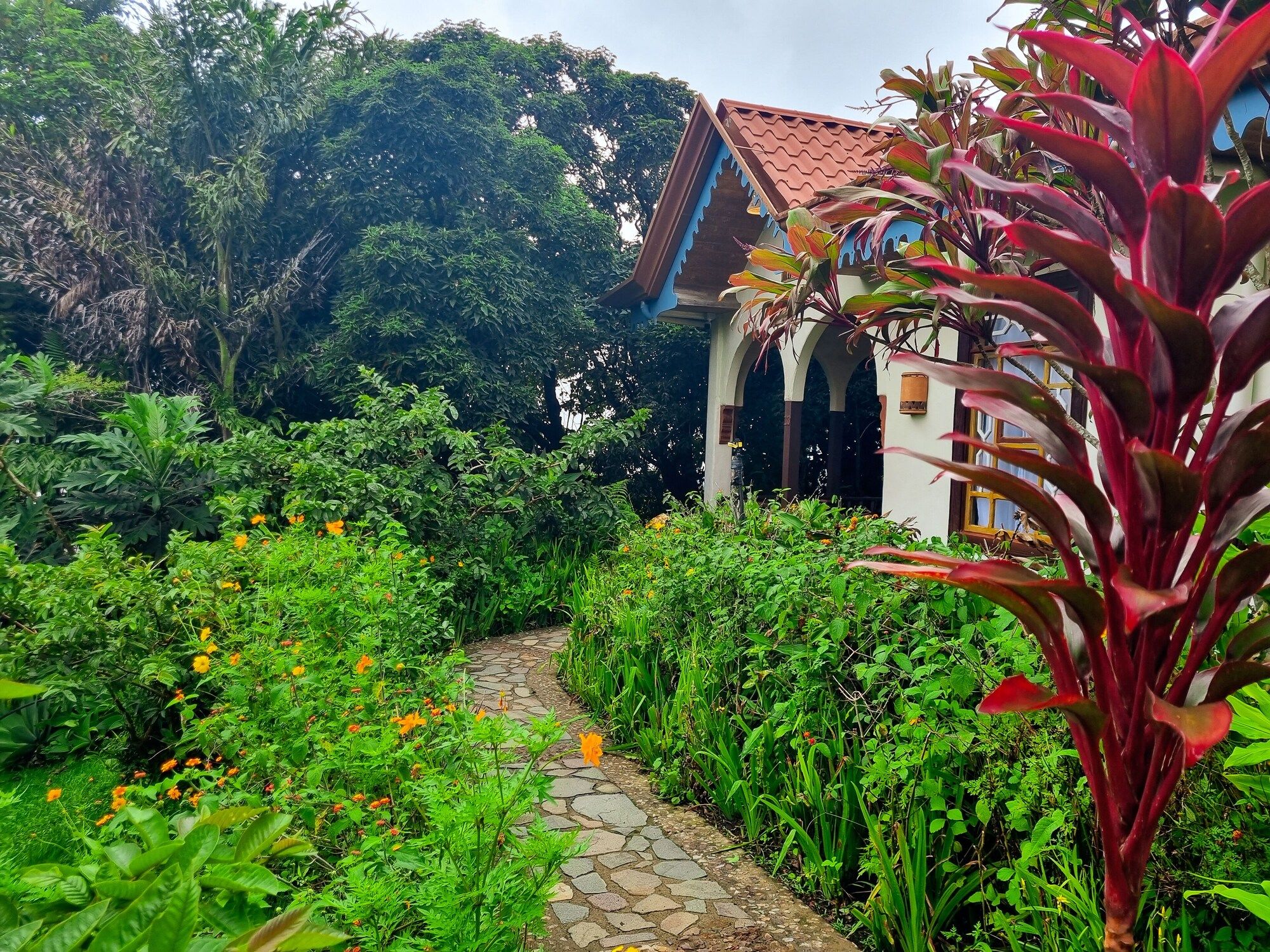 Outdoor view