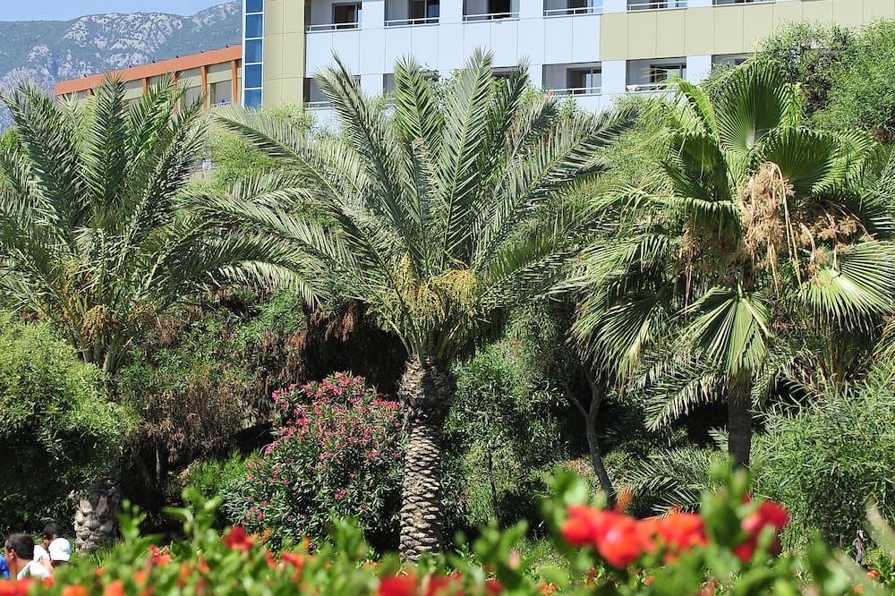 Outdoor view