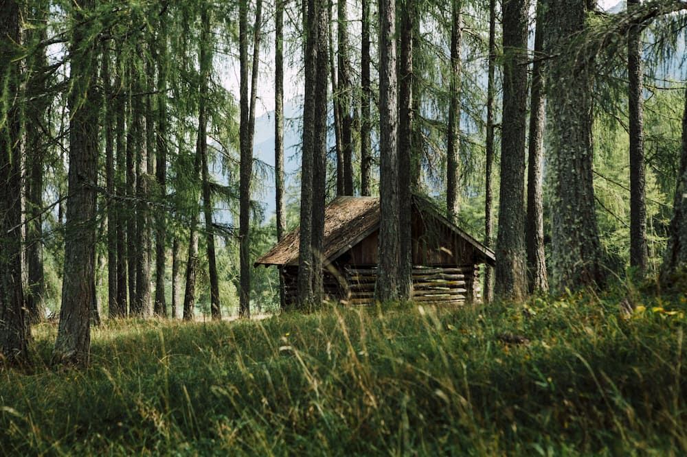 Outdoor view