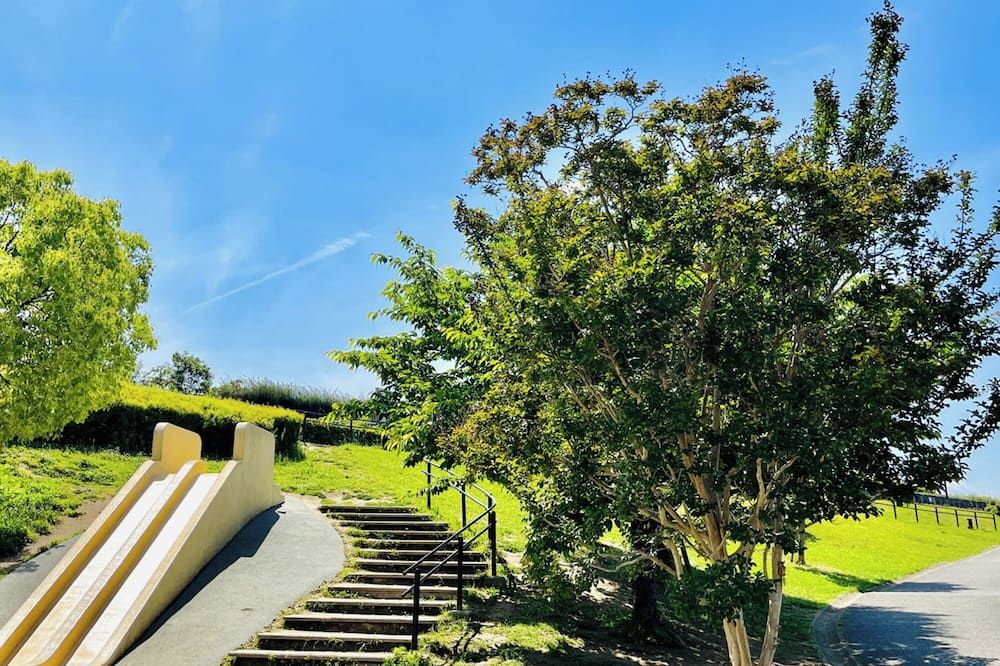 Outdoor view