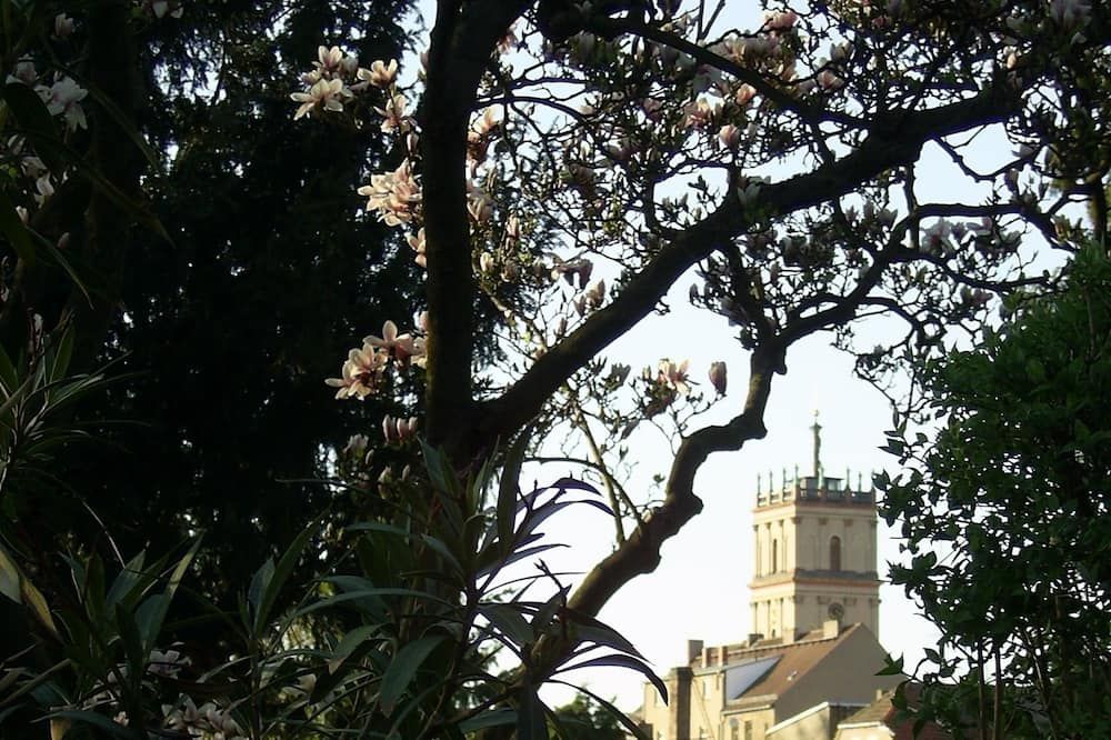Outdoor view