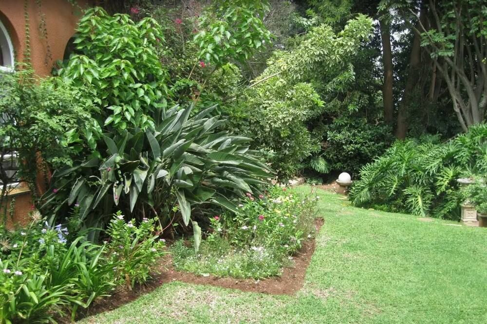 Outdoor view