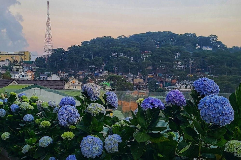 Outdoor view