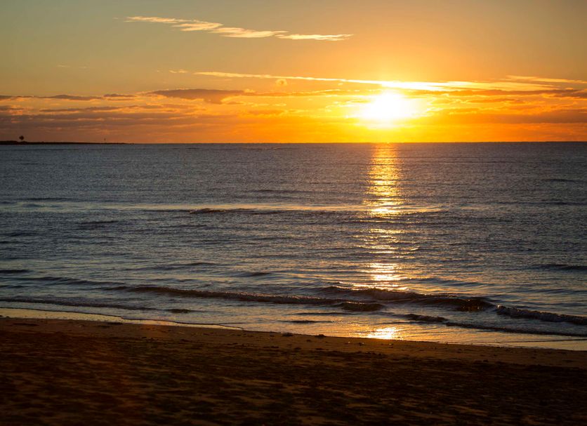 Beach Photo