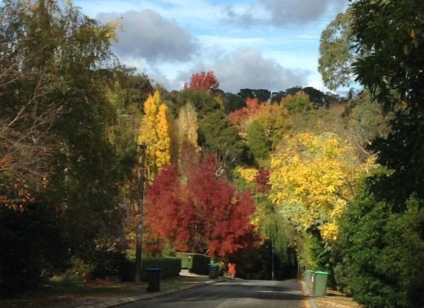 Outdoor view Photo
