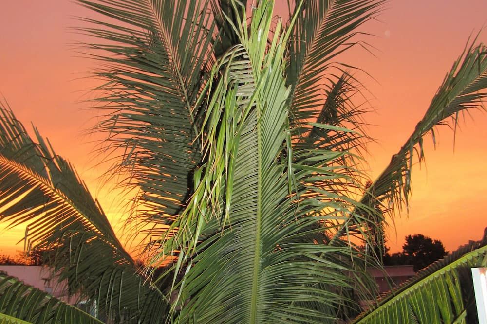 Outdoor view