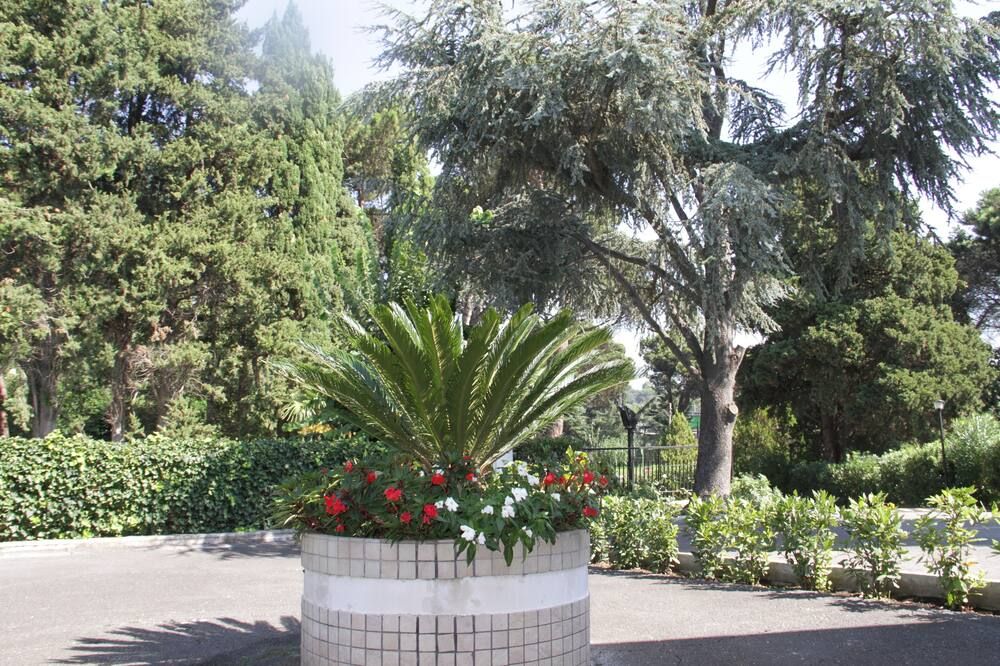 Outdoor view