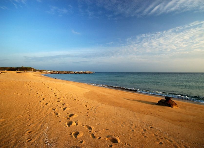 Beach Photo