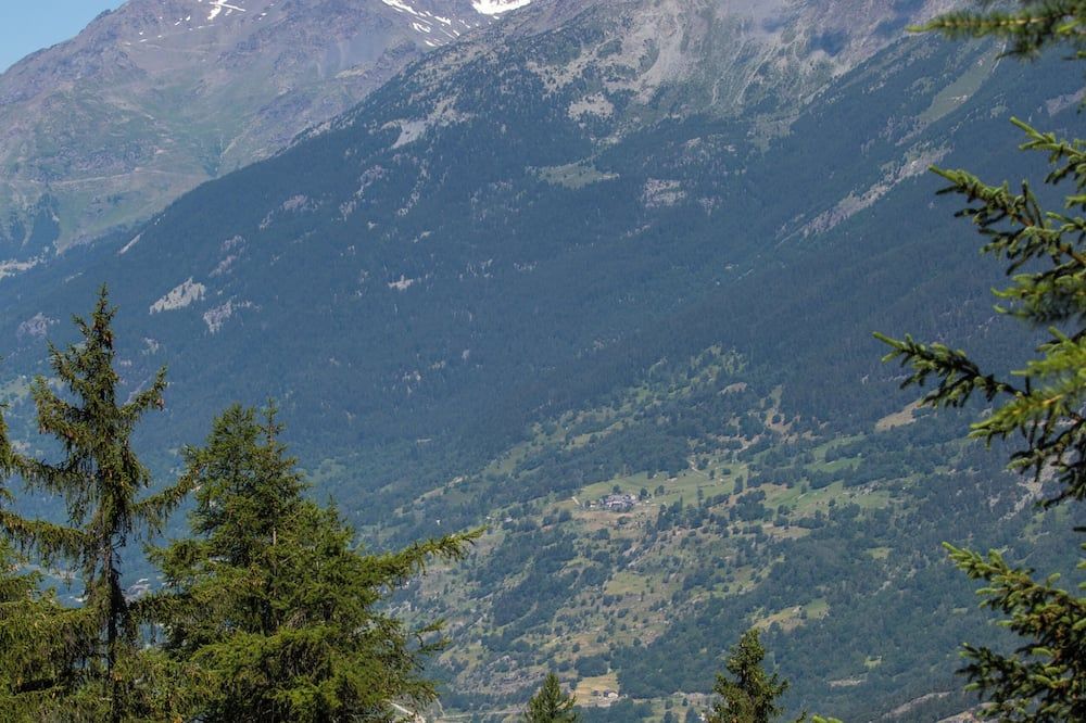 Outdoor view
