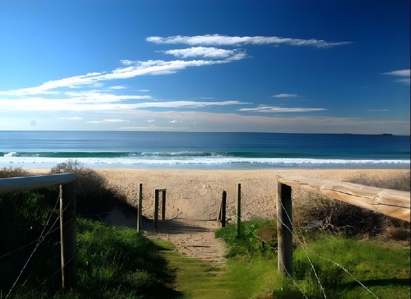 Beach Photo