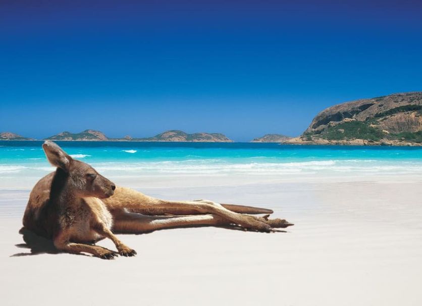 Beach Photo