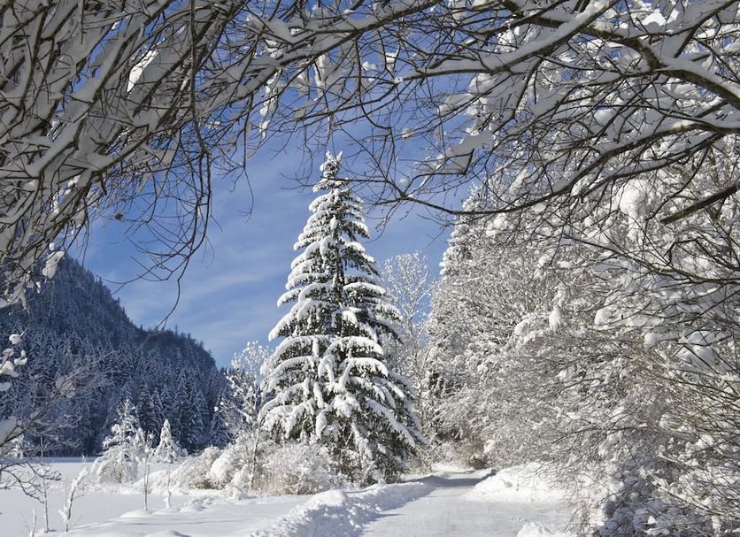 Outdoor view Photo