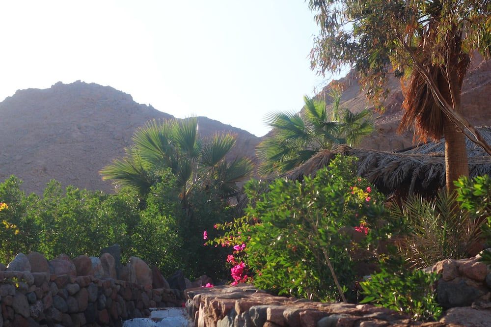 Outdoor view