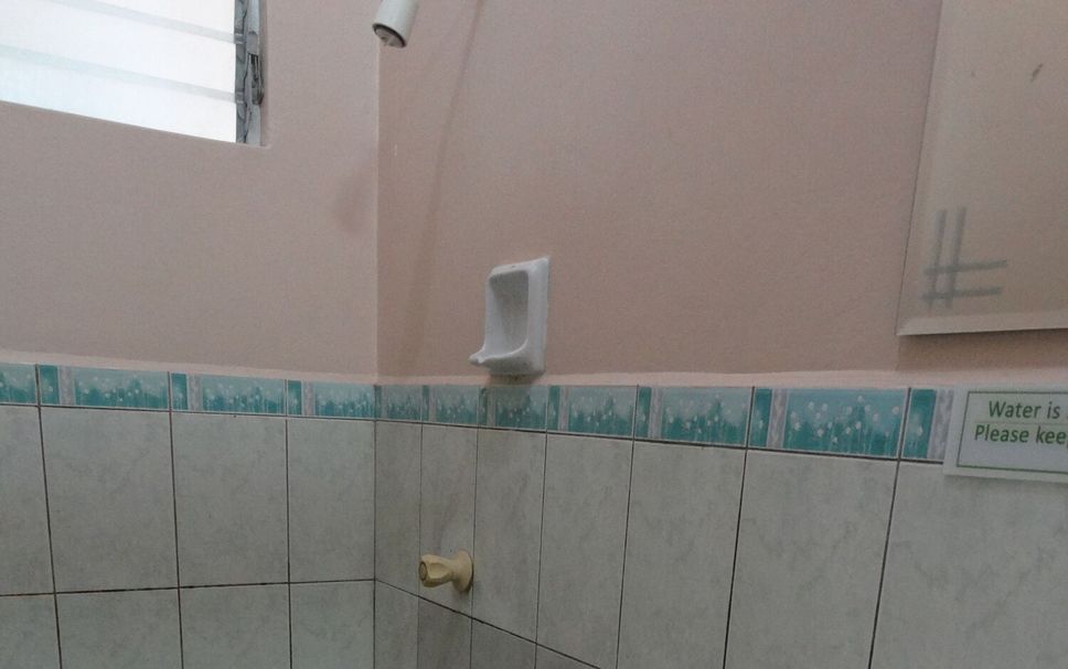 Other Photo
