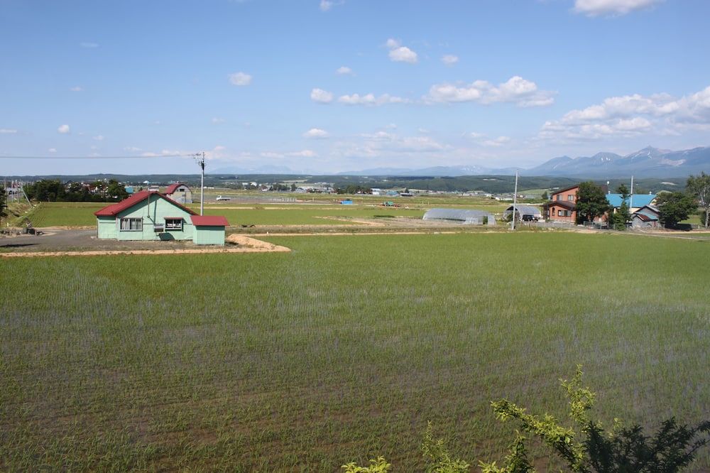 Outdoor view