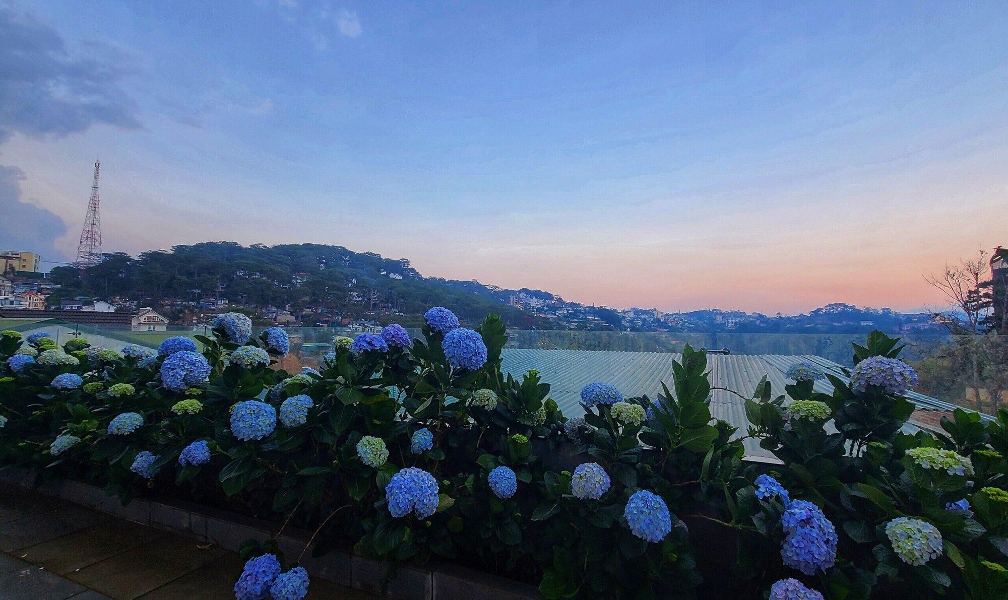 Outdoor view