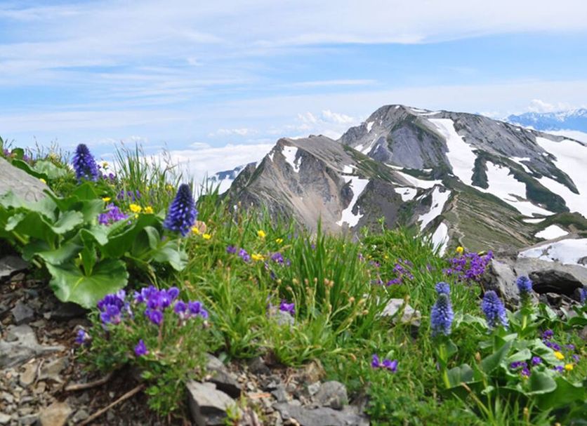 Outdoor view Photo