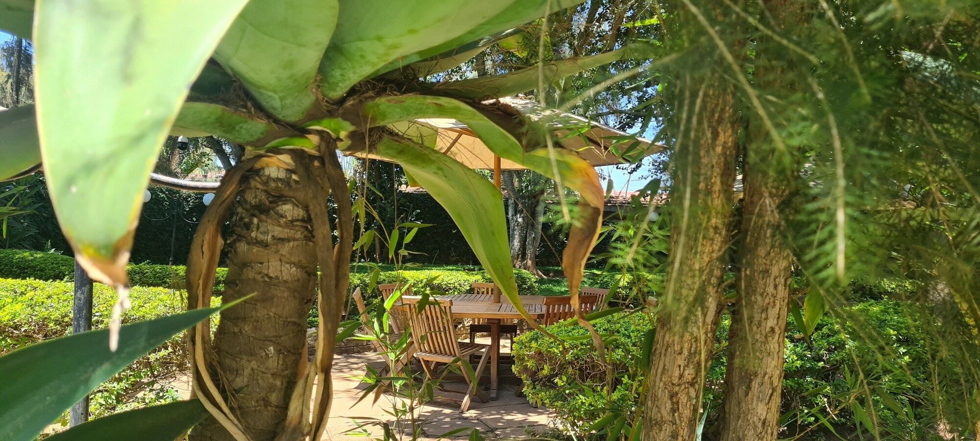 Outdoor view