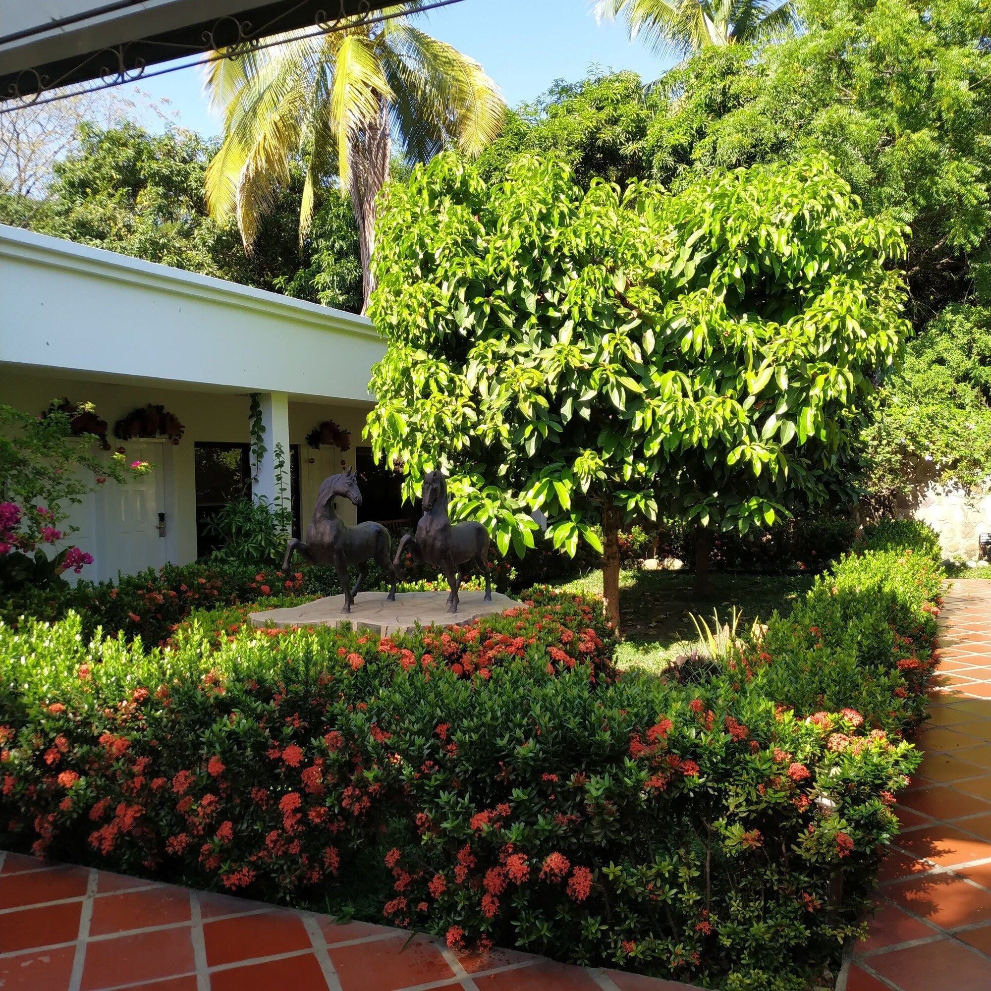Outdoor view
