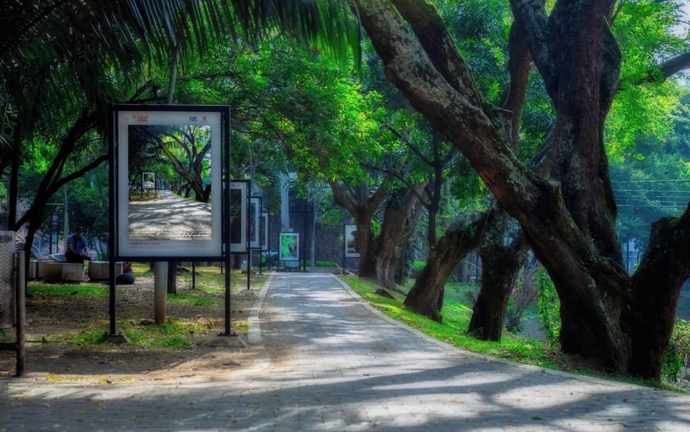 Outdoor view Photo