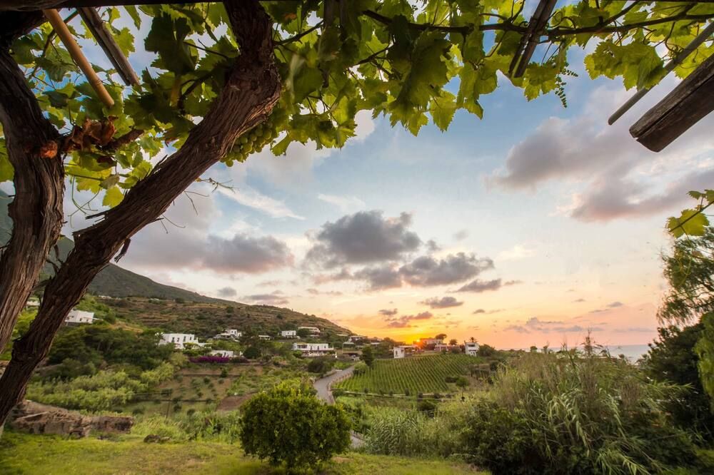 Outdoor view