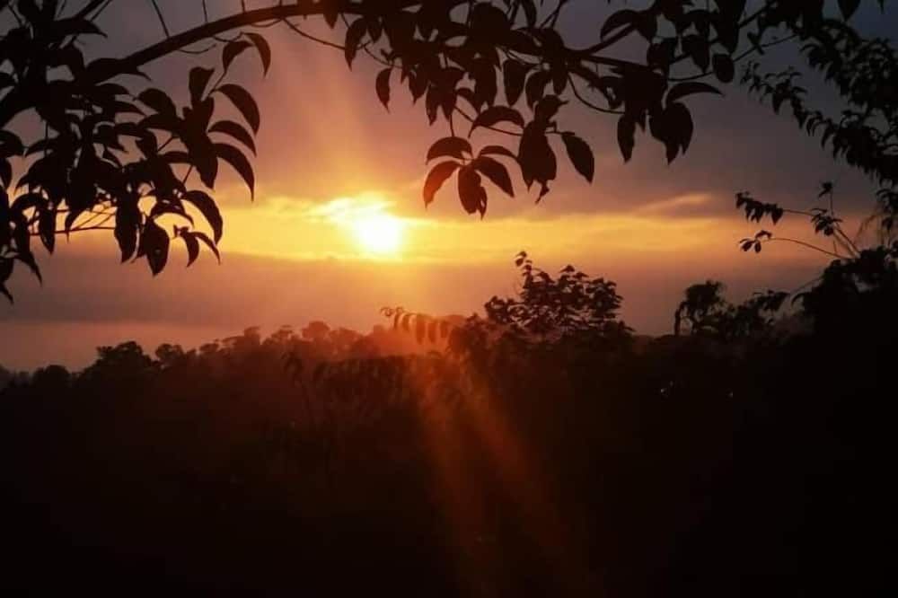 Outdoor view