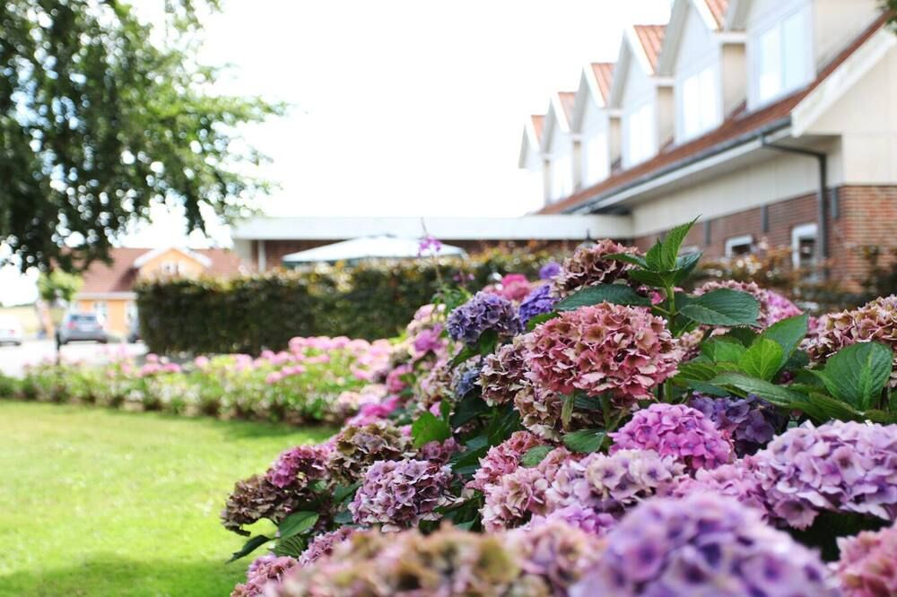 Outdoor view