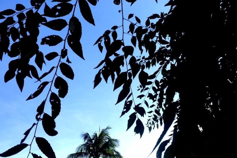 Outdoor view