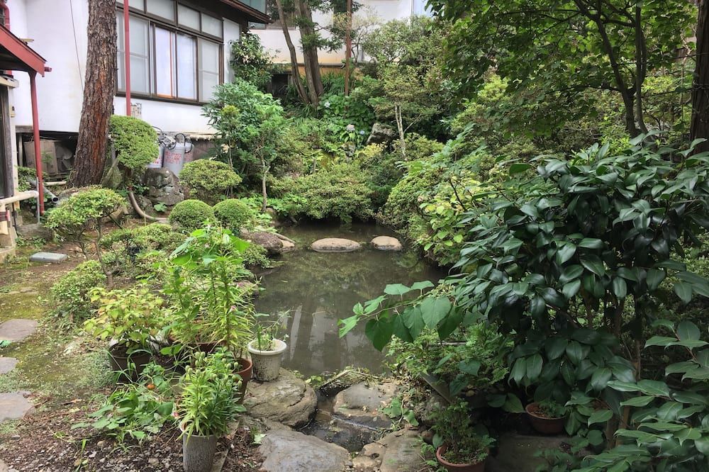 Outdoor view