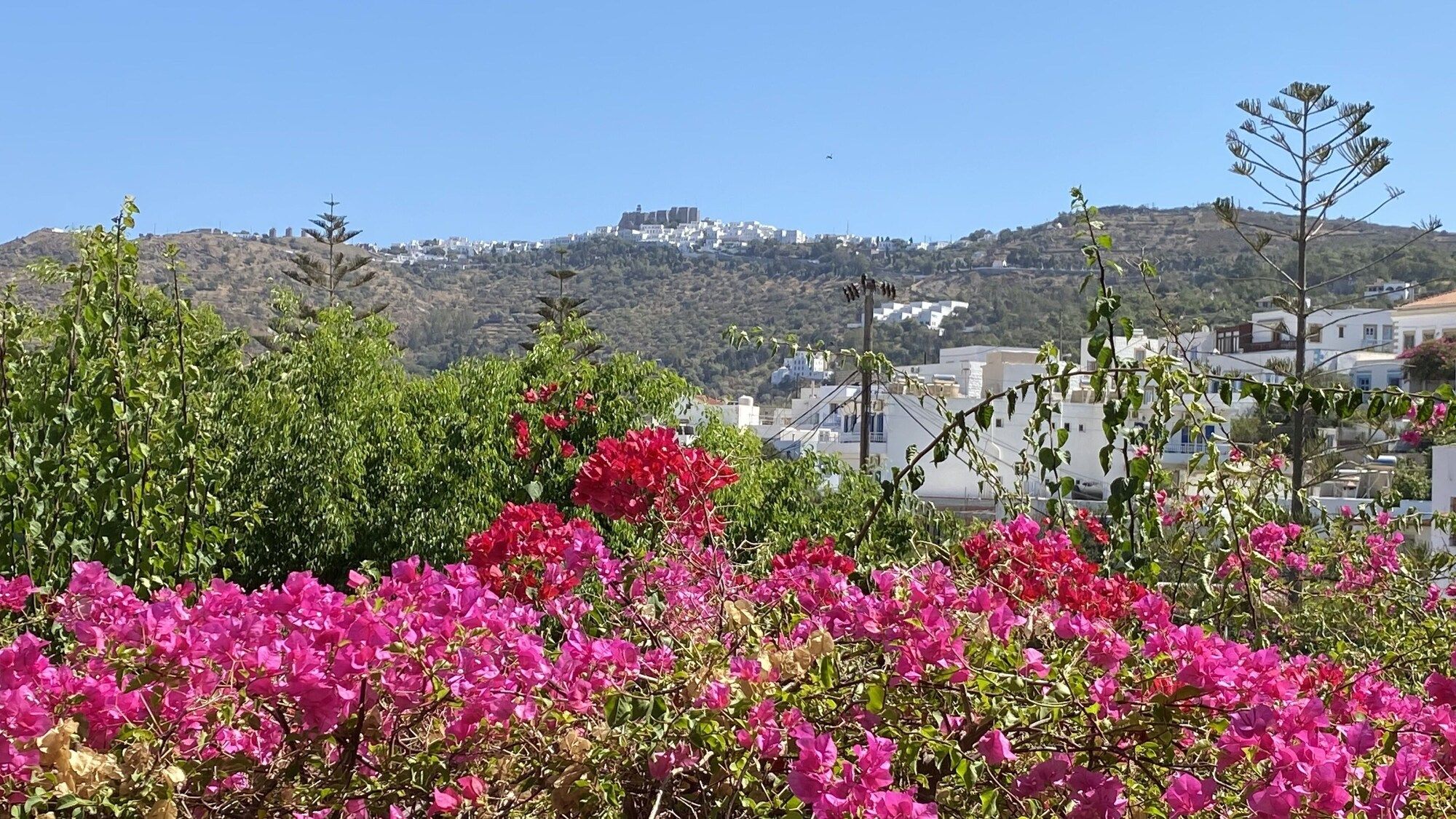 Outdoor view