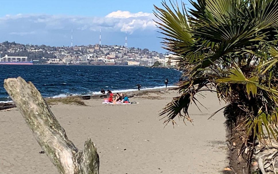 Beach Photo