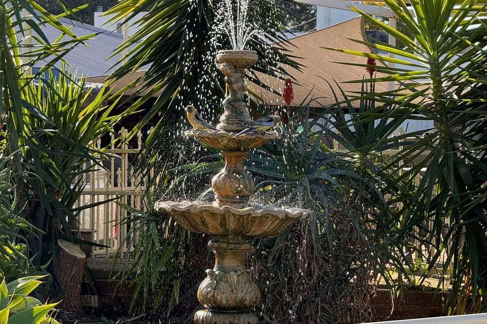 Outdoor view