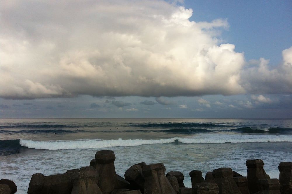 Other Photo
