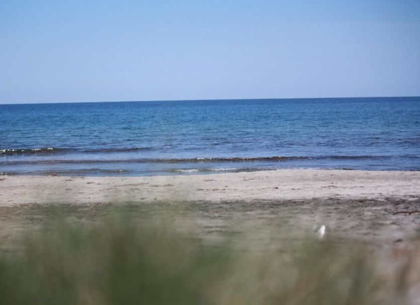 Beach Photo