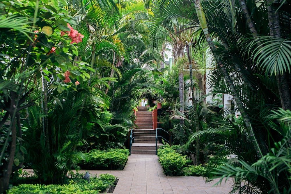 Outdoor view