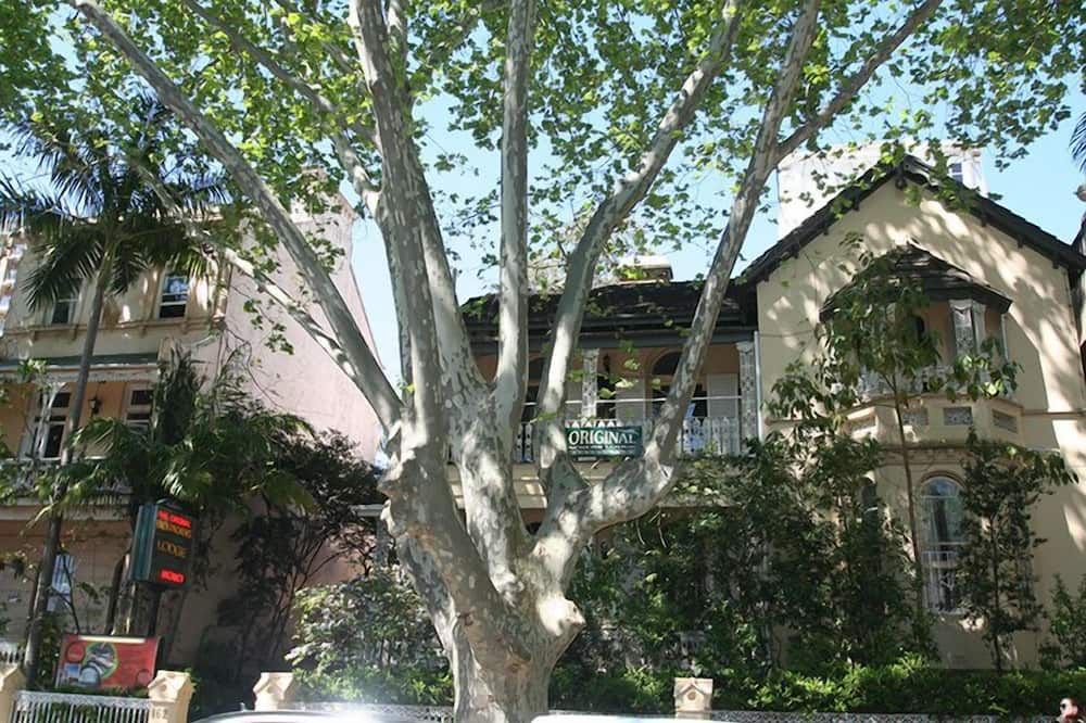 Outdoor view